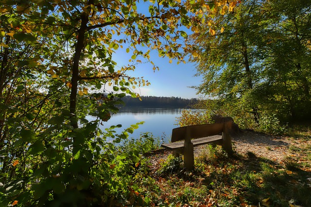 欧冠前瞻：埃因霍温各项赛事5连胜，马竞伤病严重多人缺席