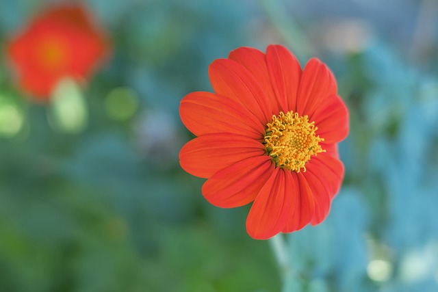 早报：上次赢了你不服吗？那再赢你一次