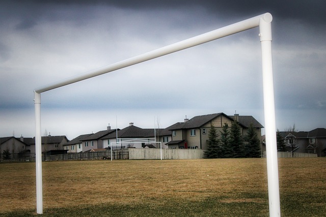 阿卡或退戴杯，WTA官宣各奖项提名，FAA跻身TOP5弗里茨重返一哥